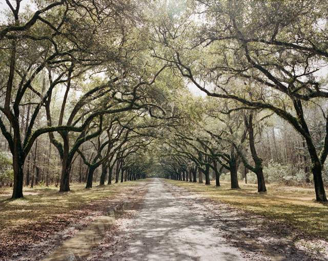 Southern Landscapes